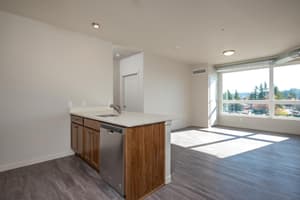 Modern kitchen with quartz countertops and kitchen island at 459 Rock Apartments